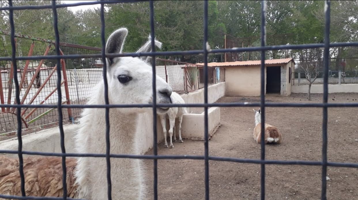 اردوگاه ایثار